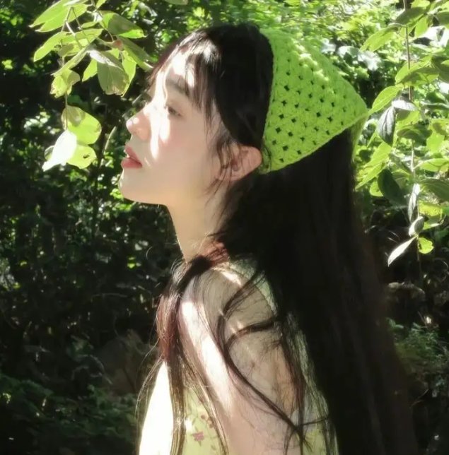 迷失的大洲